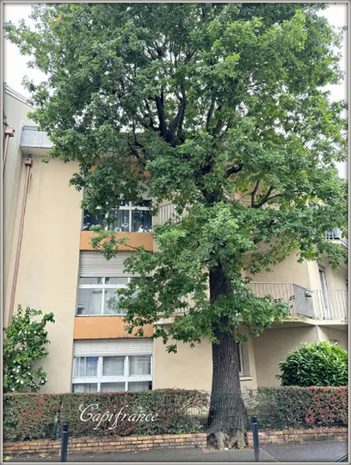Aulnay-sous-Bois Seine-Saint-Denis appartement foto 7089117