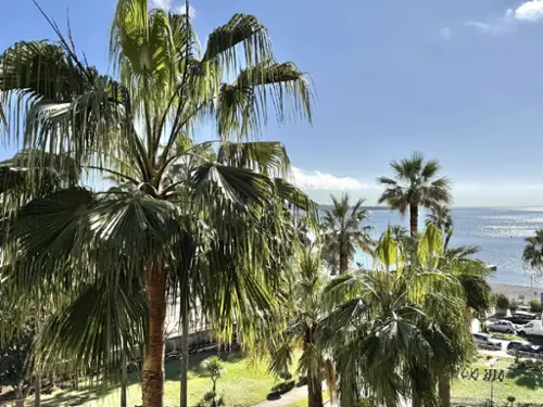 Cannes Alpes-Maritimes Wohnung/ Apartment Bild 7098600