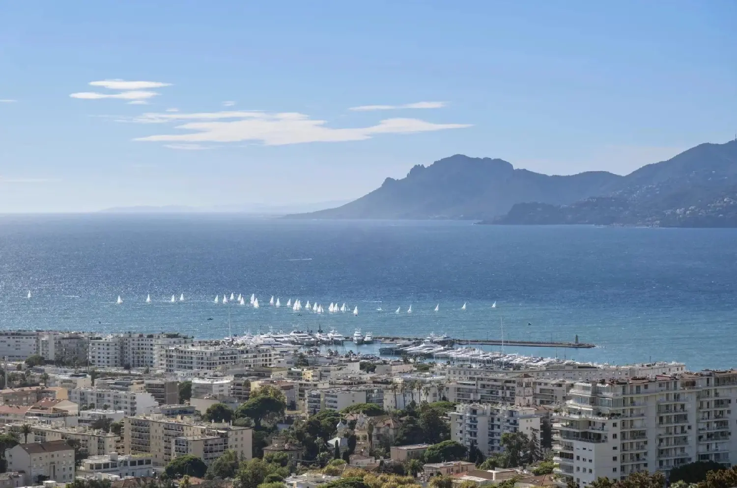 te koop appartement Cannes Alpes-Maritimes 1