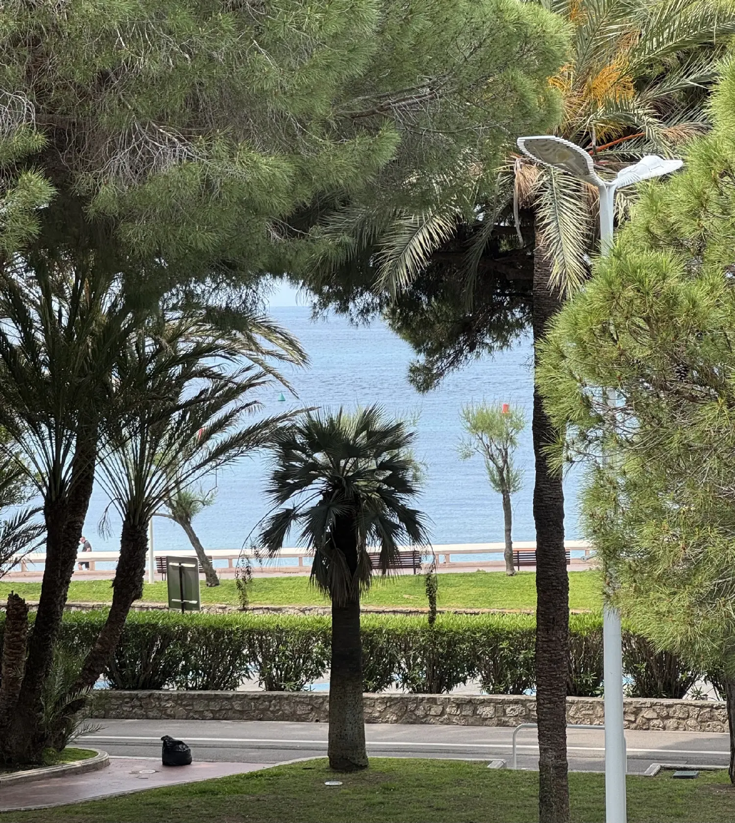  en venta apartamento Cannes Alpes-Maritimes 1