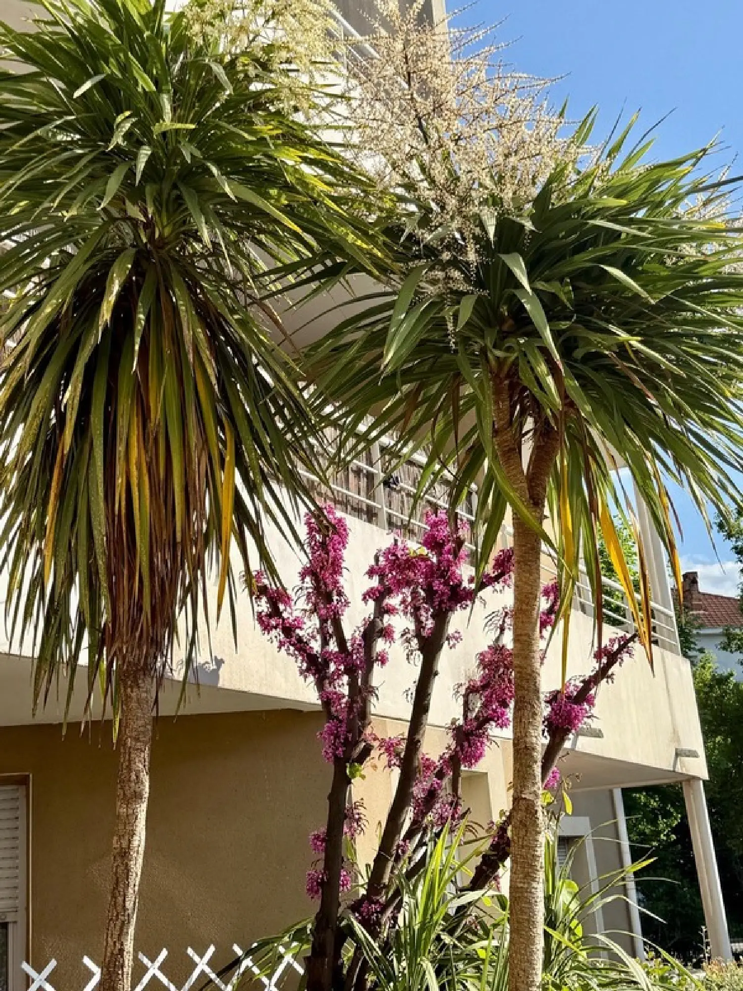  à vendre appartement Carcassonne Aude 1