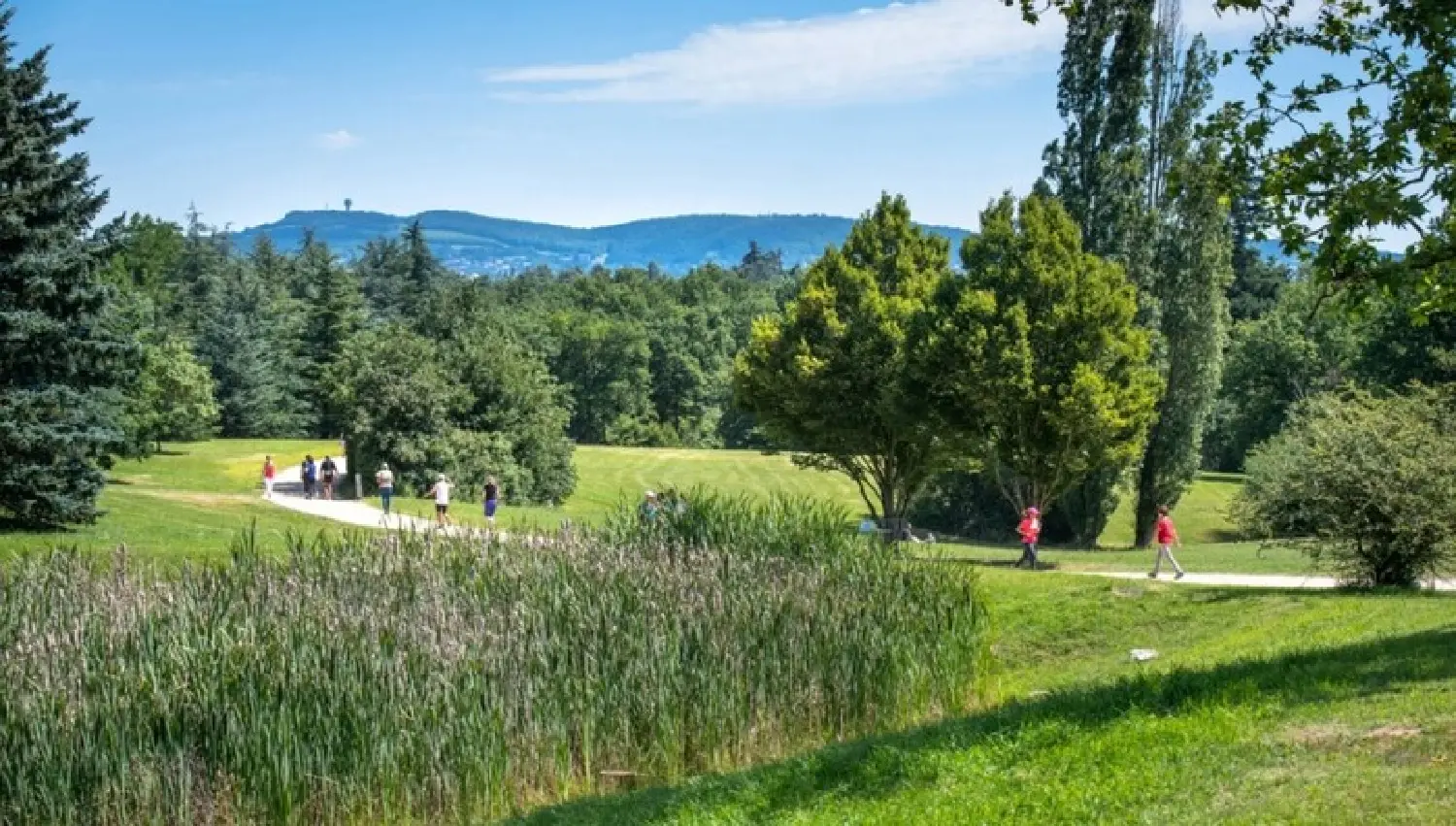  for sale apartment Charbonnières-les-Bains Rhône 3