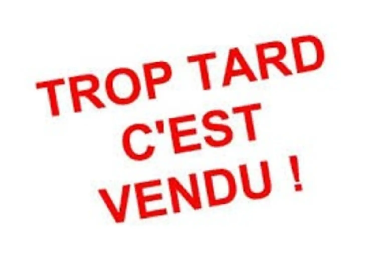  te koop appartement Faverges Haute-Savoie 2