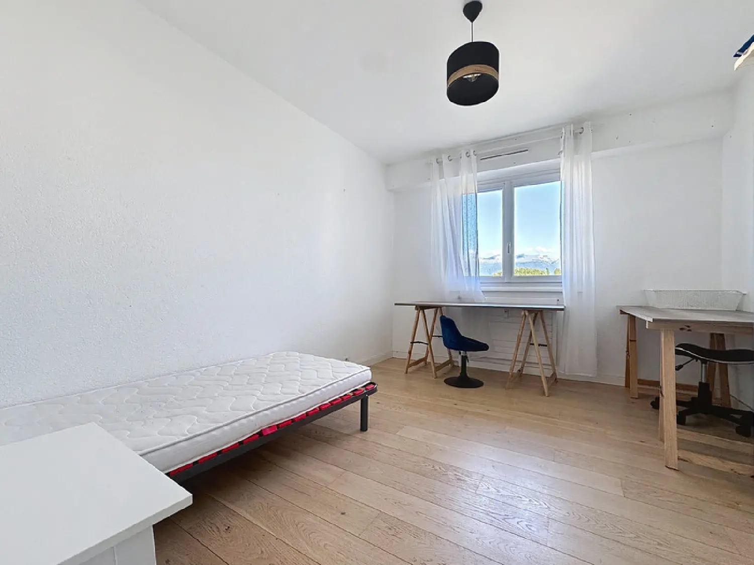  te koop appartement Ferney-Voltaire Ain 6
