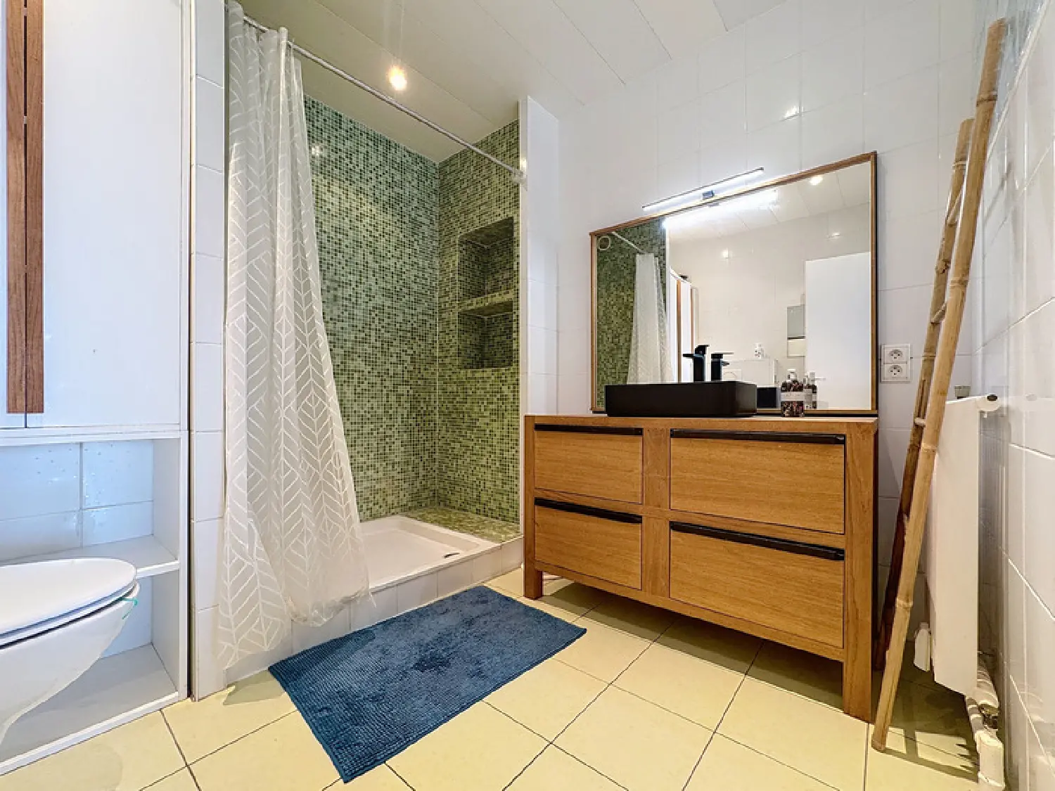  te koop appartement Ferney-Voltaire Ain 7