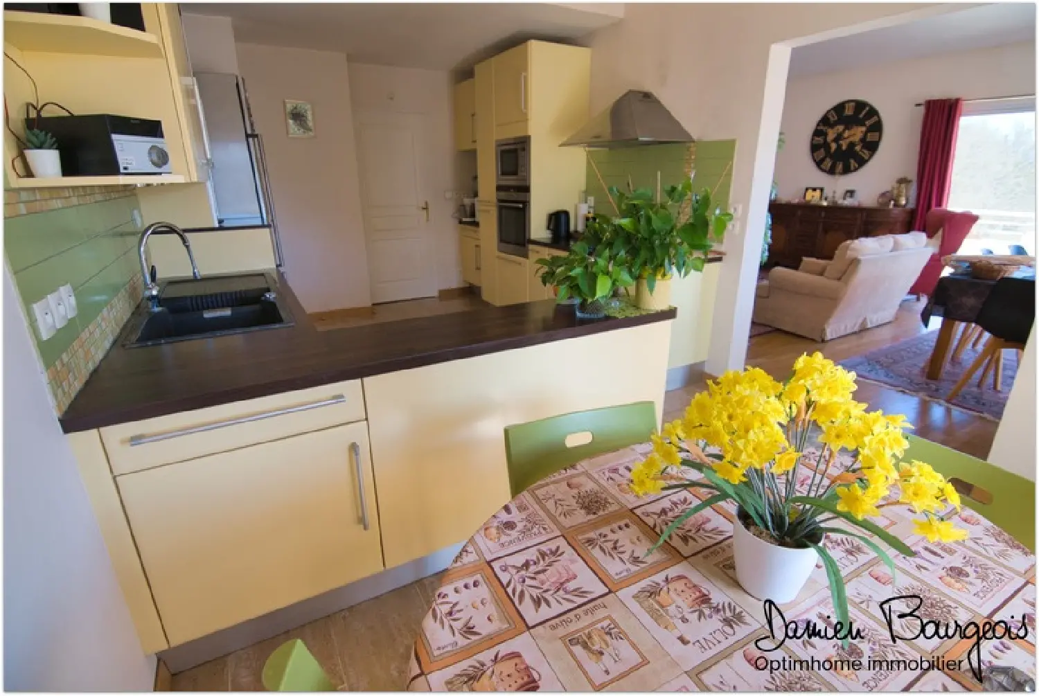  te koop appartement Ferney-Voltaire Ain 6