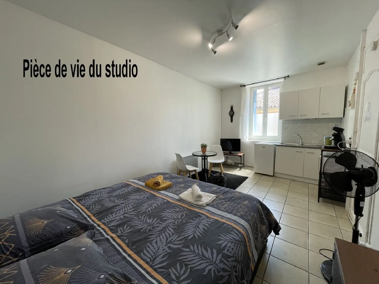  te koop appartement Fleurance Gers 2