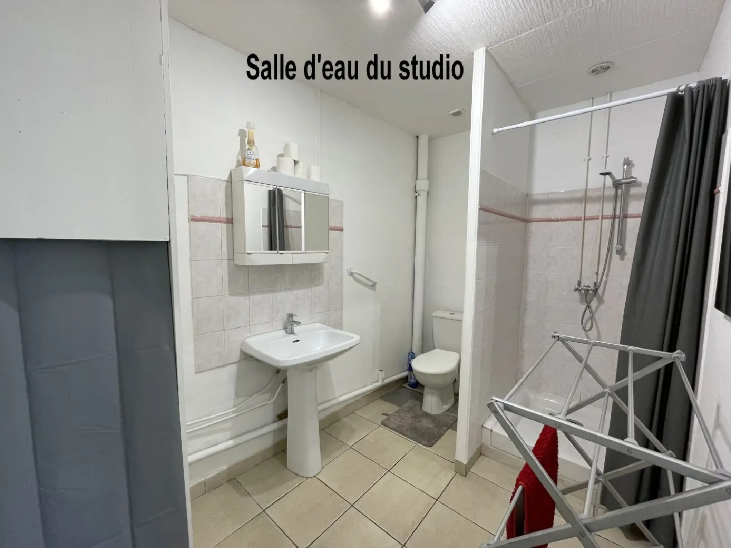  te koop appartement Fleurance Gers 3