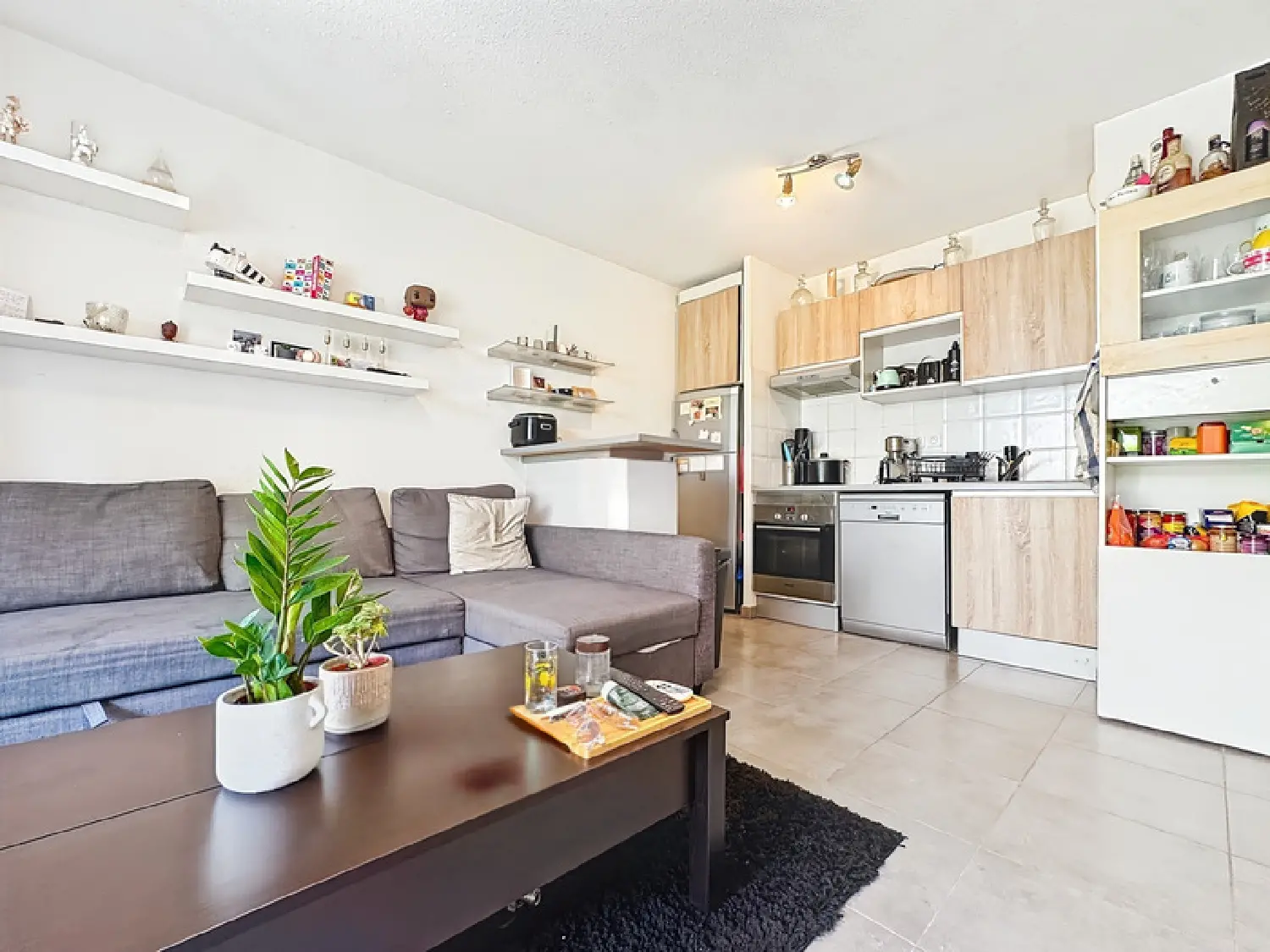  kaufen Wohnung/ Apartment Gex Ain 3