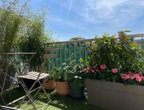 Le Chesnay Yvelines appartement foto 7100285