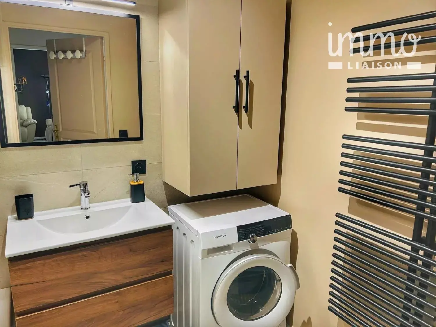  à vendre appartement Le Cheylas Isère 5