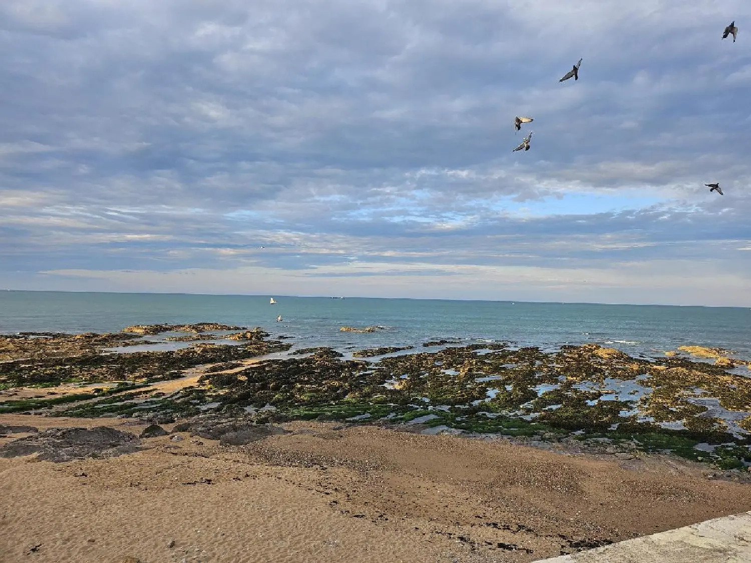 en venta apartamento Les Sables-d'Olonne Vendée 5