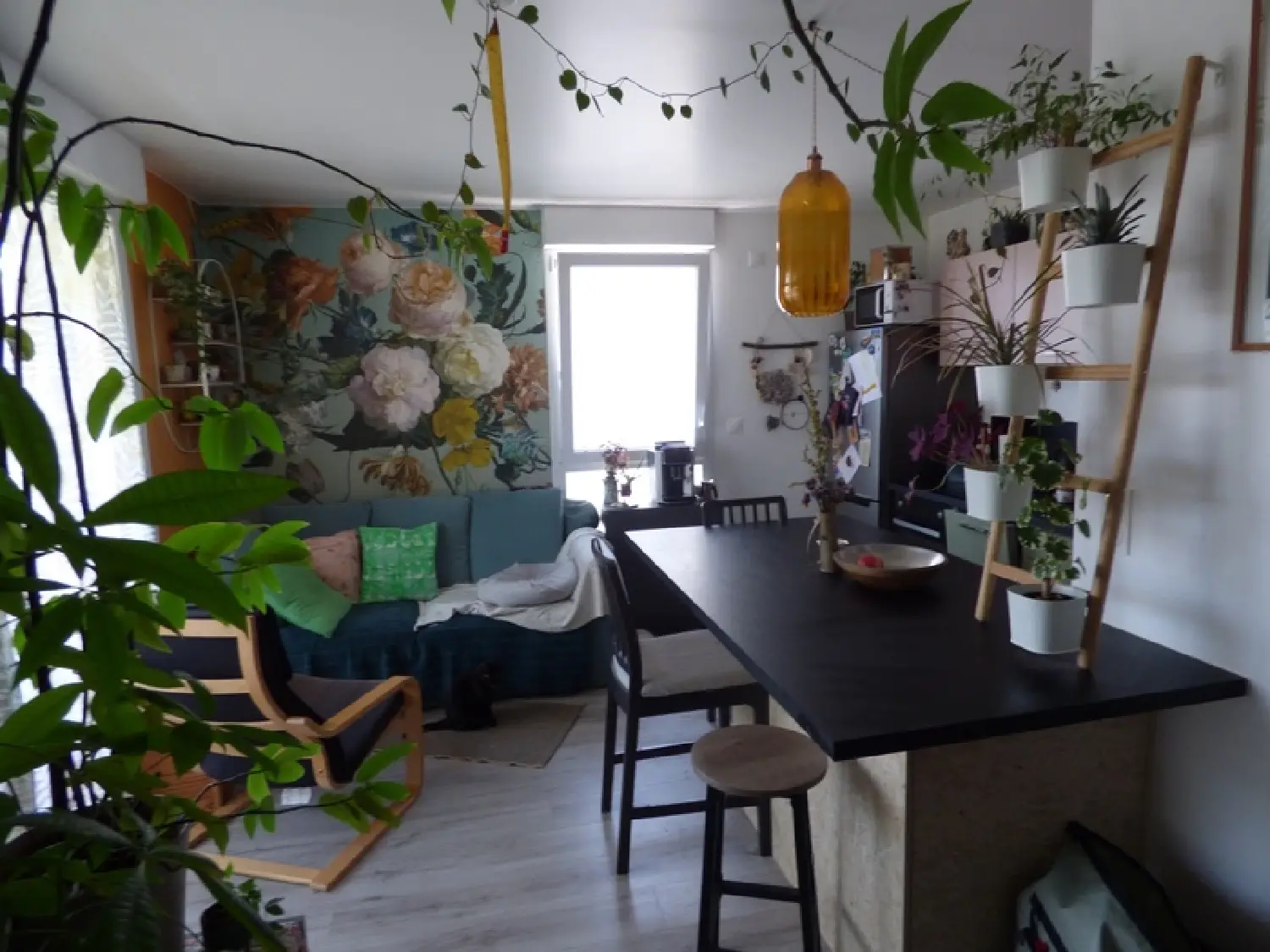  te koop appartement Lingolsheim Bas-Rhin 1