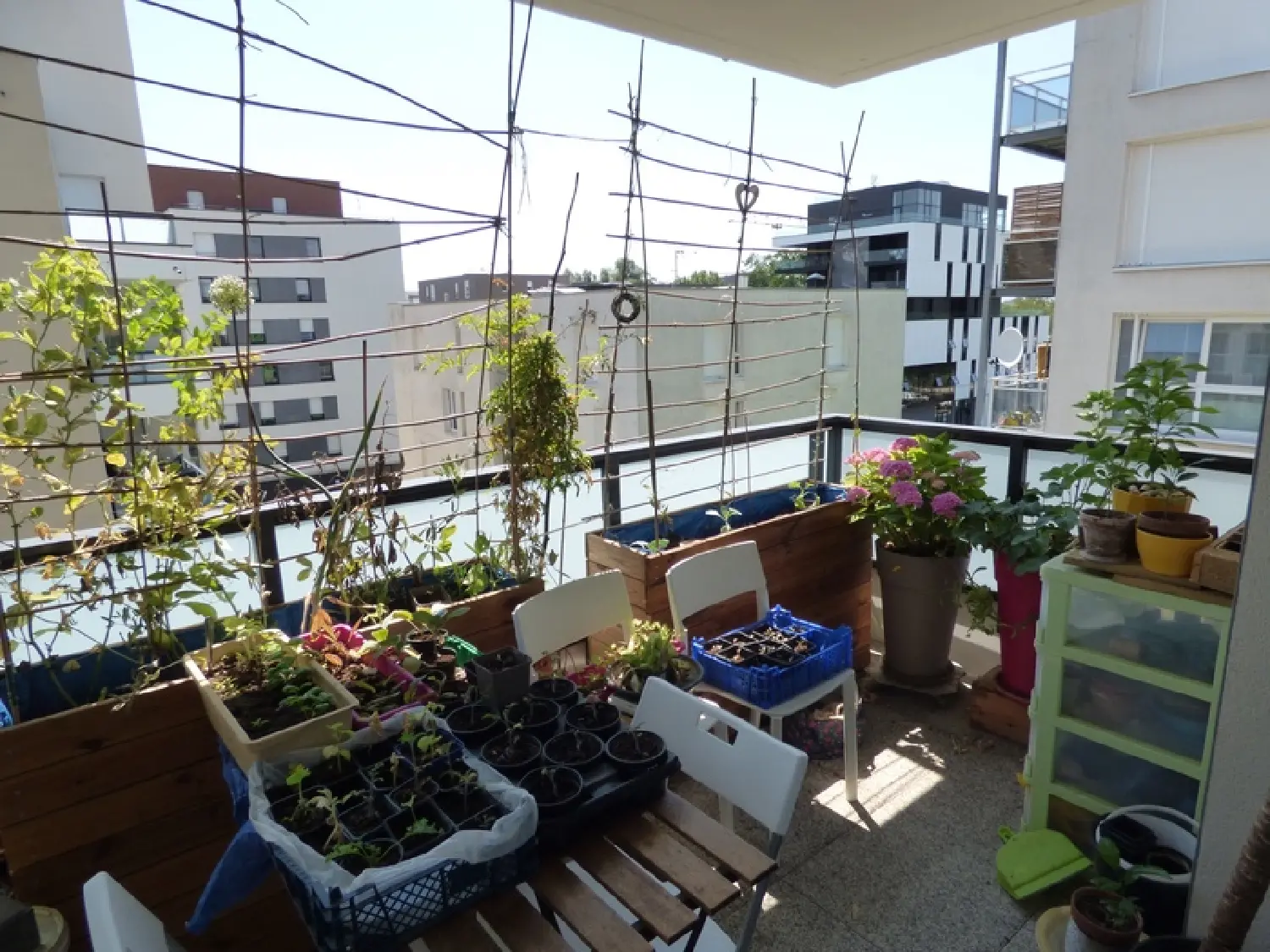  te koop appartement Lingolsheim Bas-Rhin 6