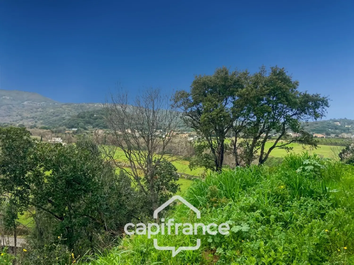  à vendre appartement Linguizzetta Haute-Corse 4