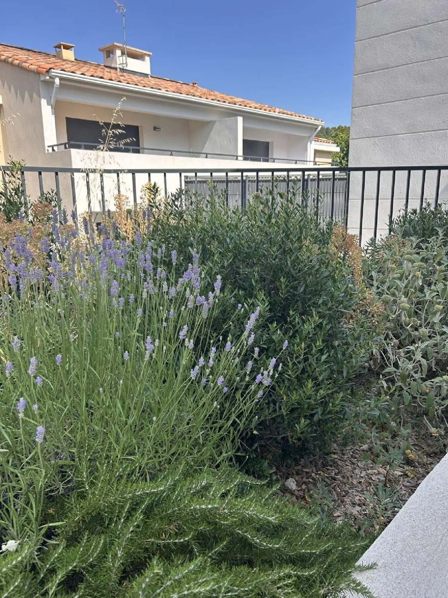 en venta apartamento Marseille 11e Arrondissement Bocas del Ródano 3