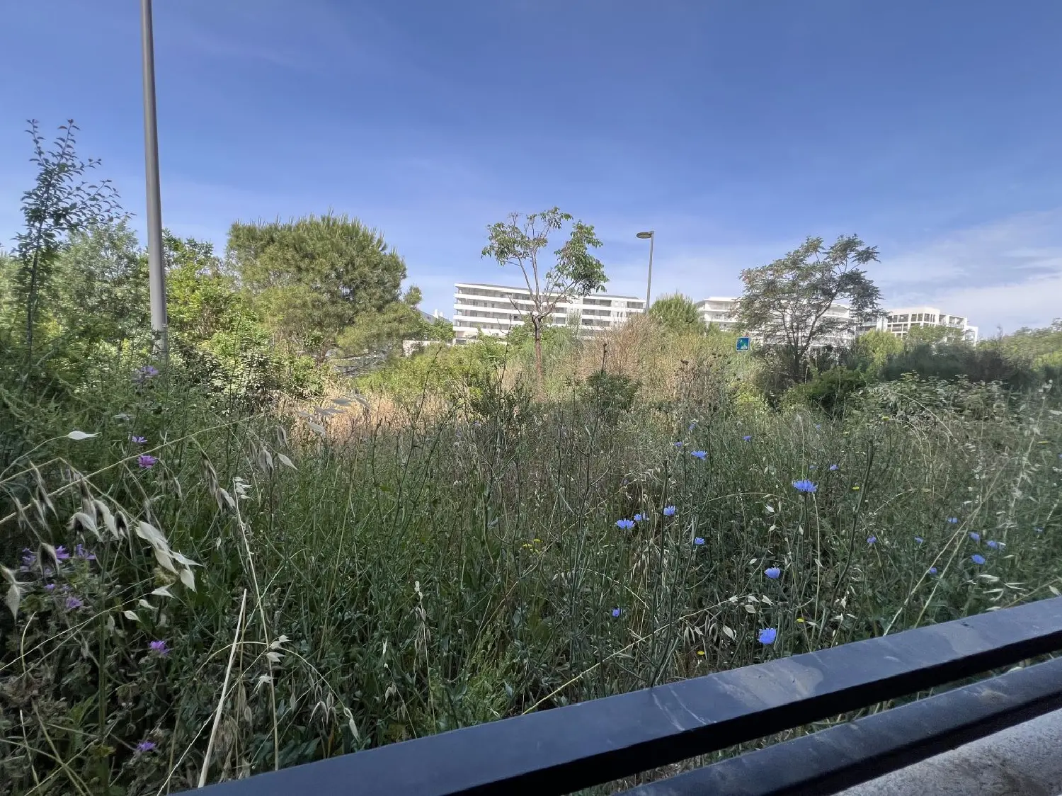 en venta apartamento Marseille 14e Arrondissement Bocas del Ródano 3