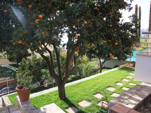 Menton Alpes-Maritimes Wohnung/ Apartment Bild 7098436