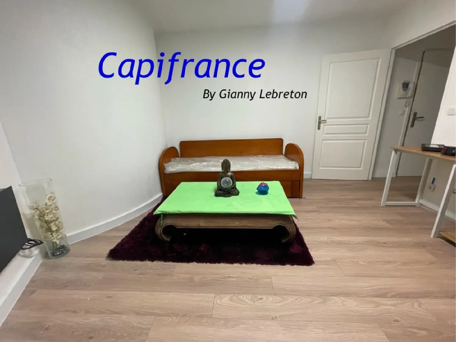  te koop appartement Montpellier 34090 Hérault 5