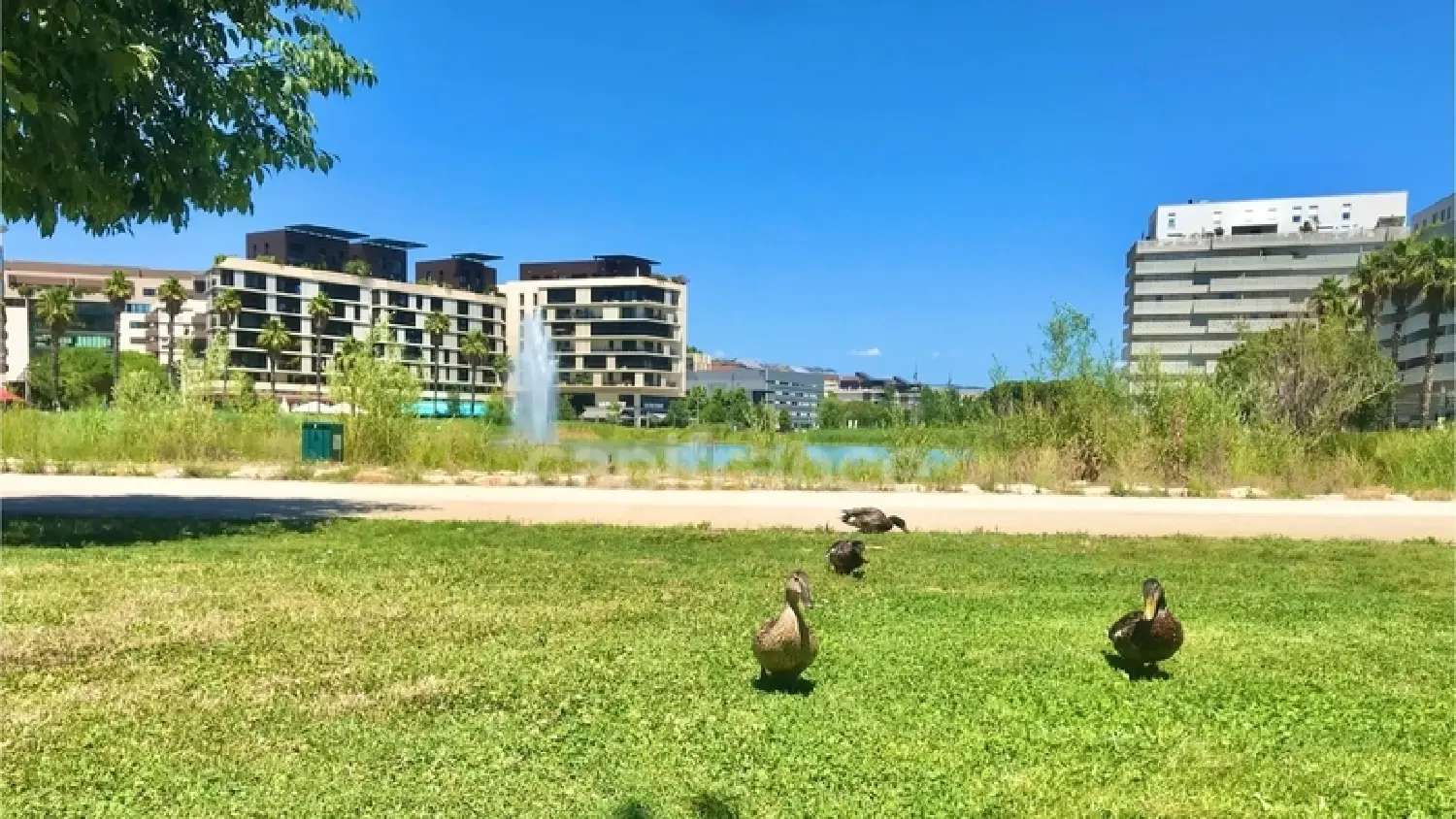  en venta apartamento Montpellier Hérault 1