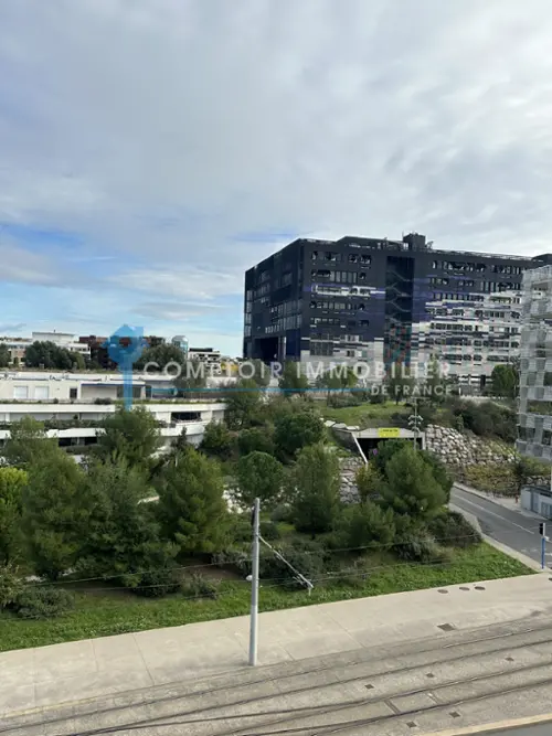 Montpellier 34070 Hérault Wohnung/ Apartment Bild 7089639