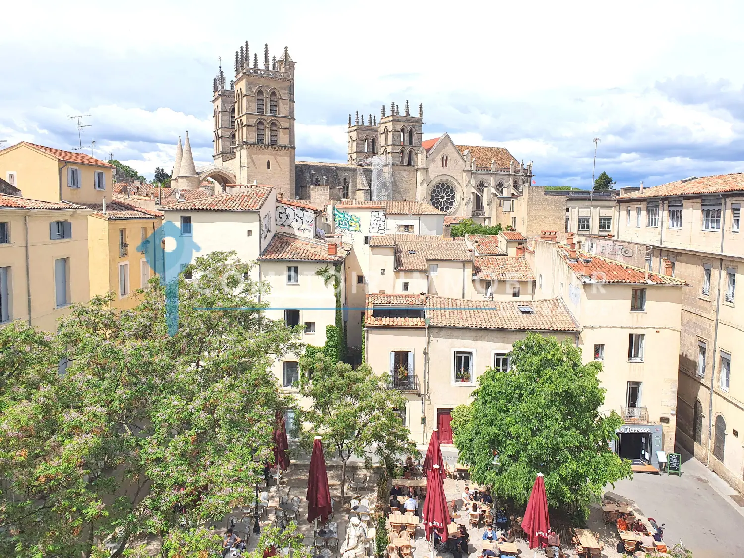  te koop appartement Montpellier Hérault 1