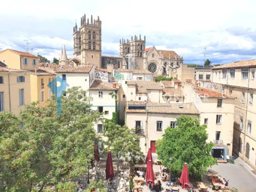 Montpellier Hérault appartement foto 7101618