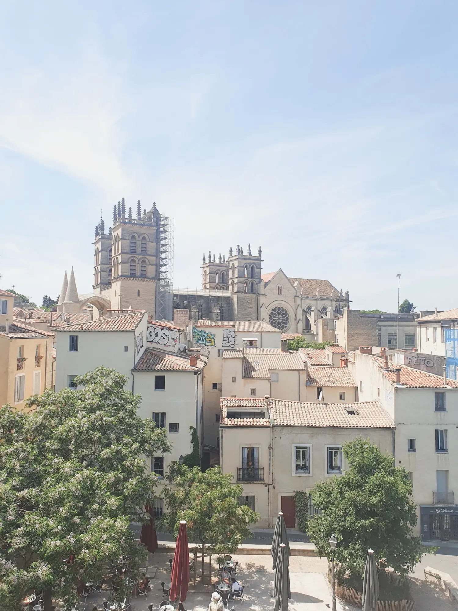  te koop appartement Montpellier Hérault 3