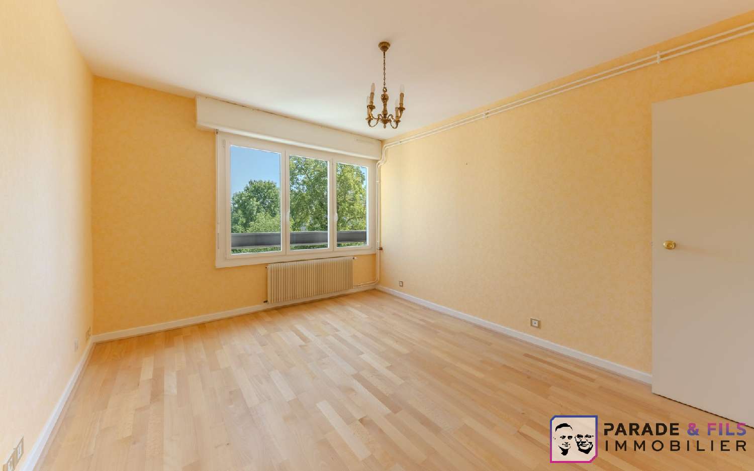  te koop appartement Nancy Meurthe-et-Moselle 5