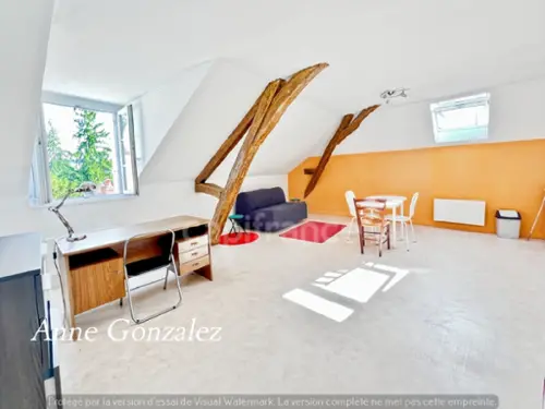 Orléans 45100 Loiret Wohnung/ Apartment Bild 7101413
