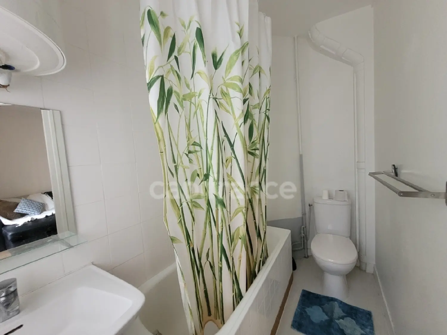  te koop appartement Paris 15e Arrondissement Parijs (Seine) 5