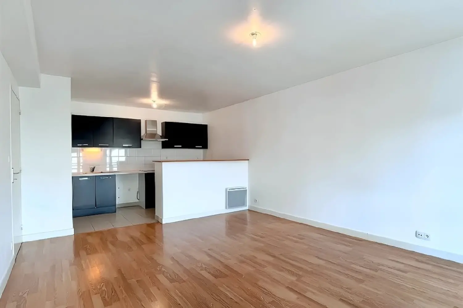  te koop appartement Rennes Ille-et-Vilaine 1