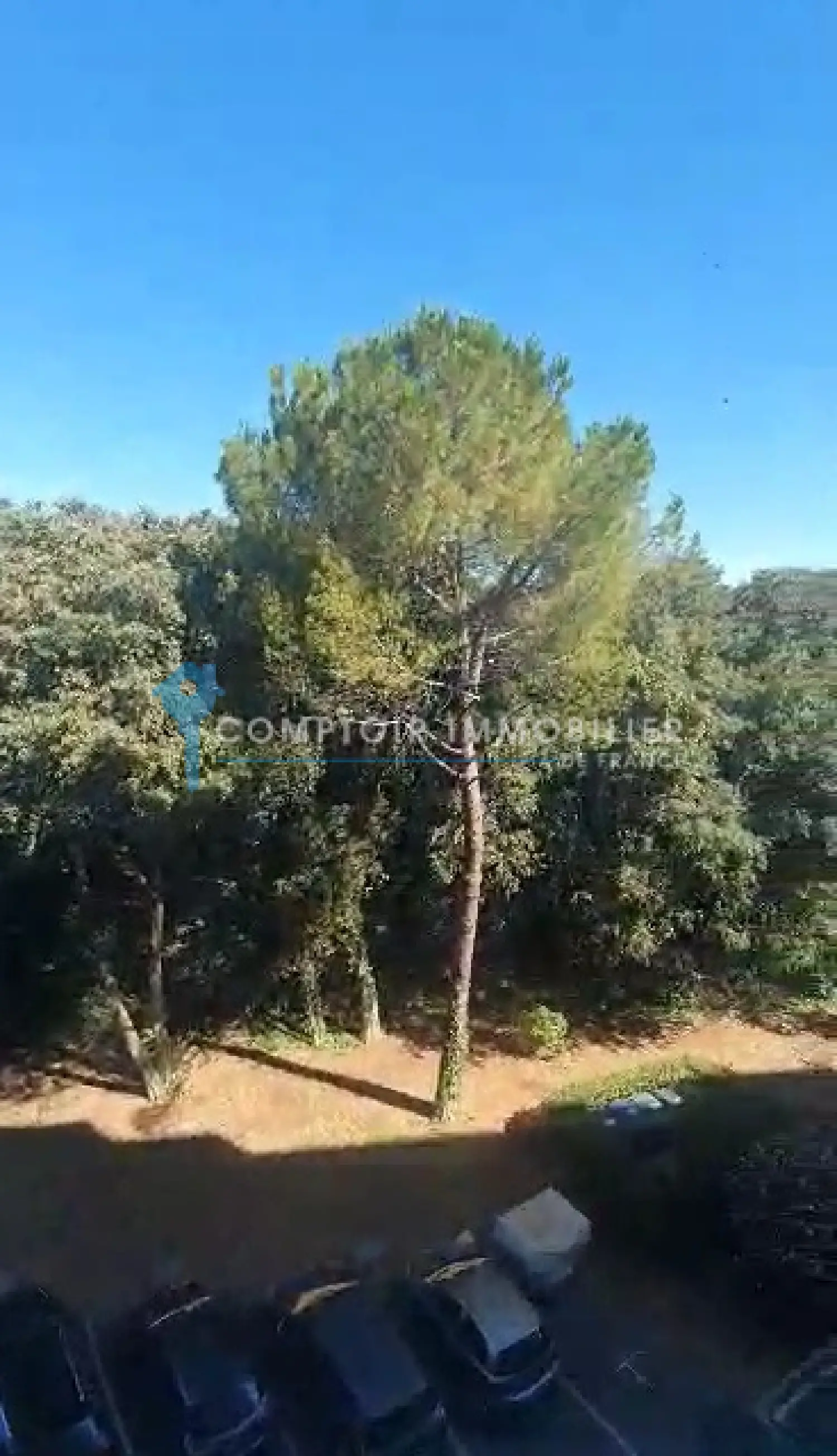  te koop appartement Saint-Césaire Gard 8