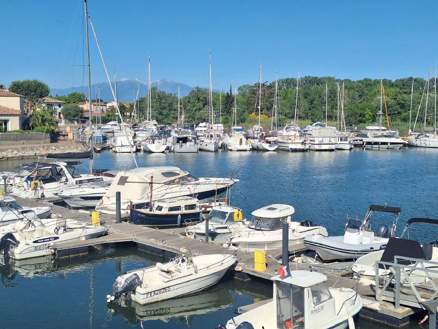  for sale apartment Saint-Cyprien Pyrénées-Orientales 8
