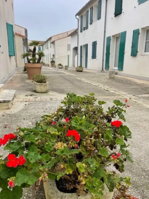 Saint-Martin-de-Ré Charente-Maritime Wohnung/ Apartment Bild 7087820
