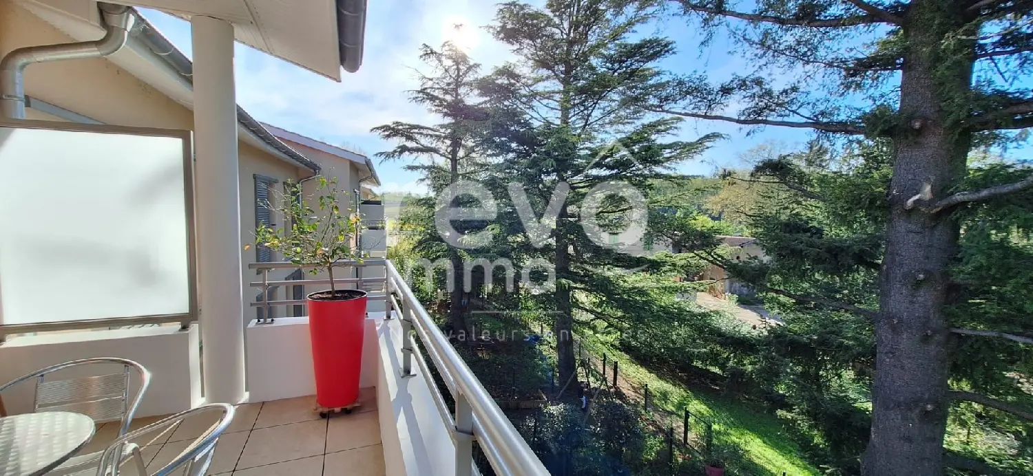  à vendre appartement Saint-Maurice-de-Beynost Ain 3