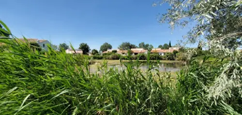Saintes-Maries-de-la-Mer Bouches-du-Rhône appartement foto 7100355