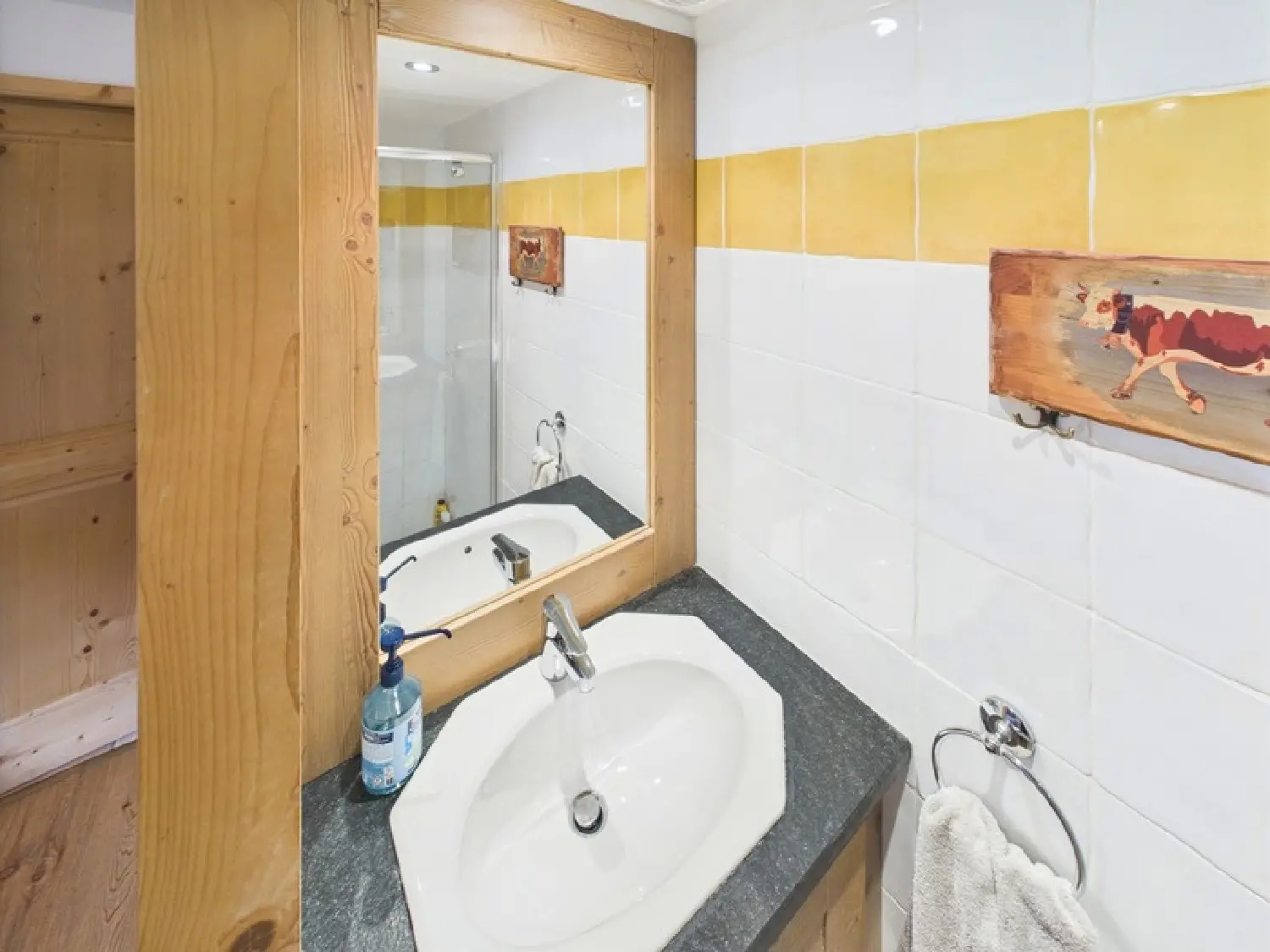  te koop appartement Samoëns Haute-Savoie 8