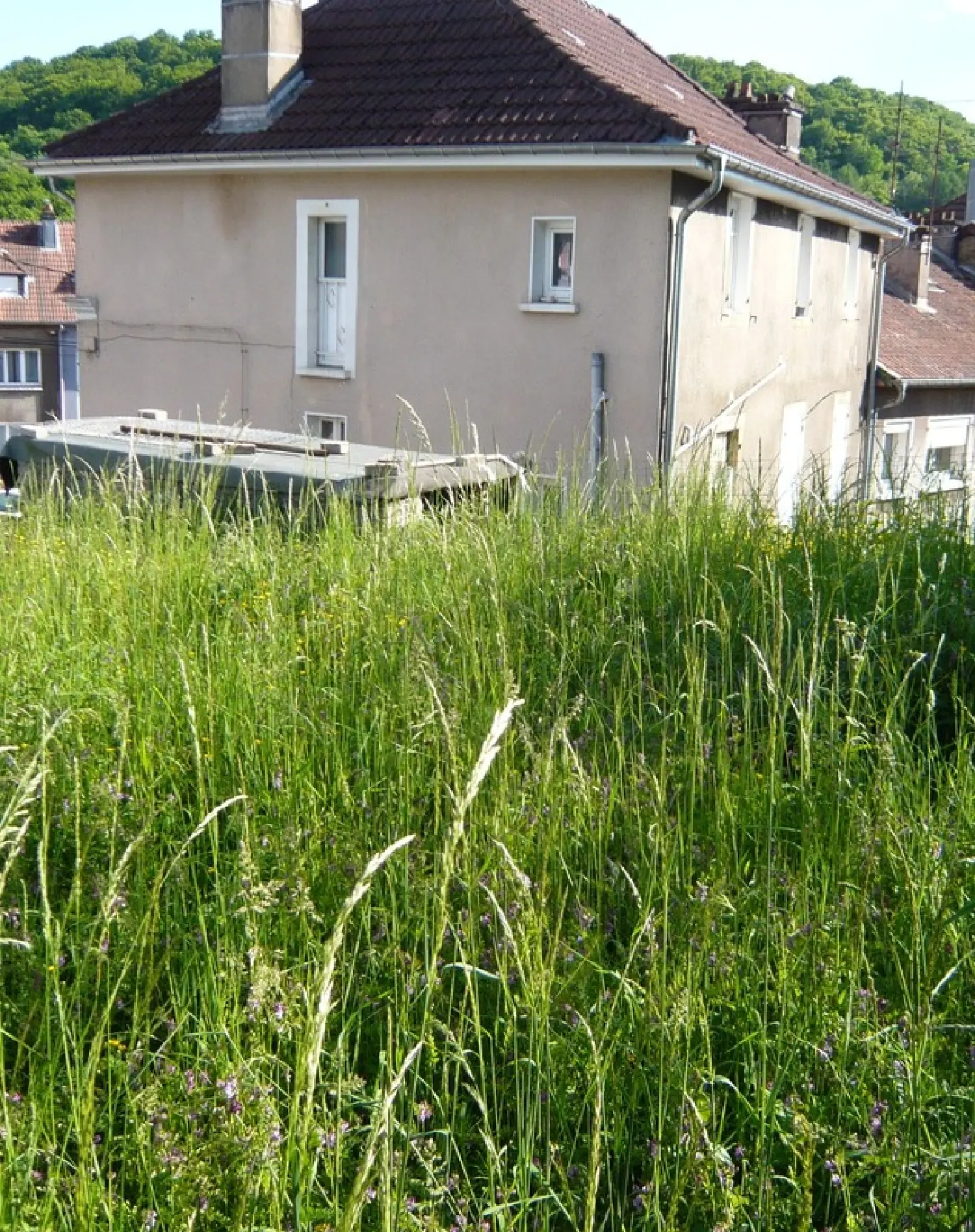  for sale apartment Saulnes Meurthe-et-Moselle 8