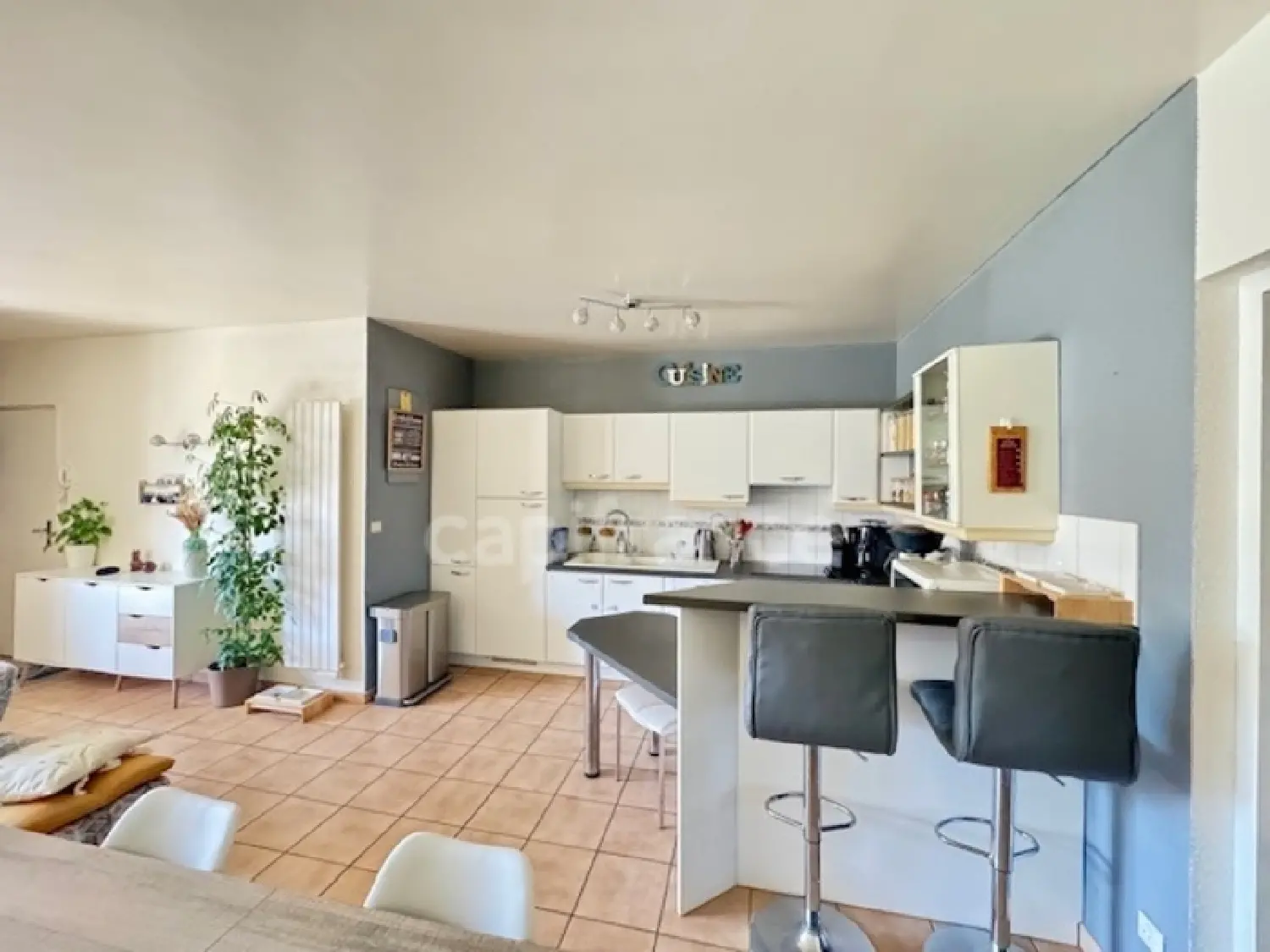 te koop appartement Sauverny Ain 4
