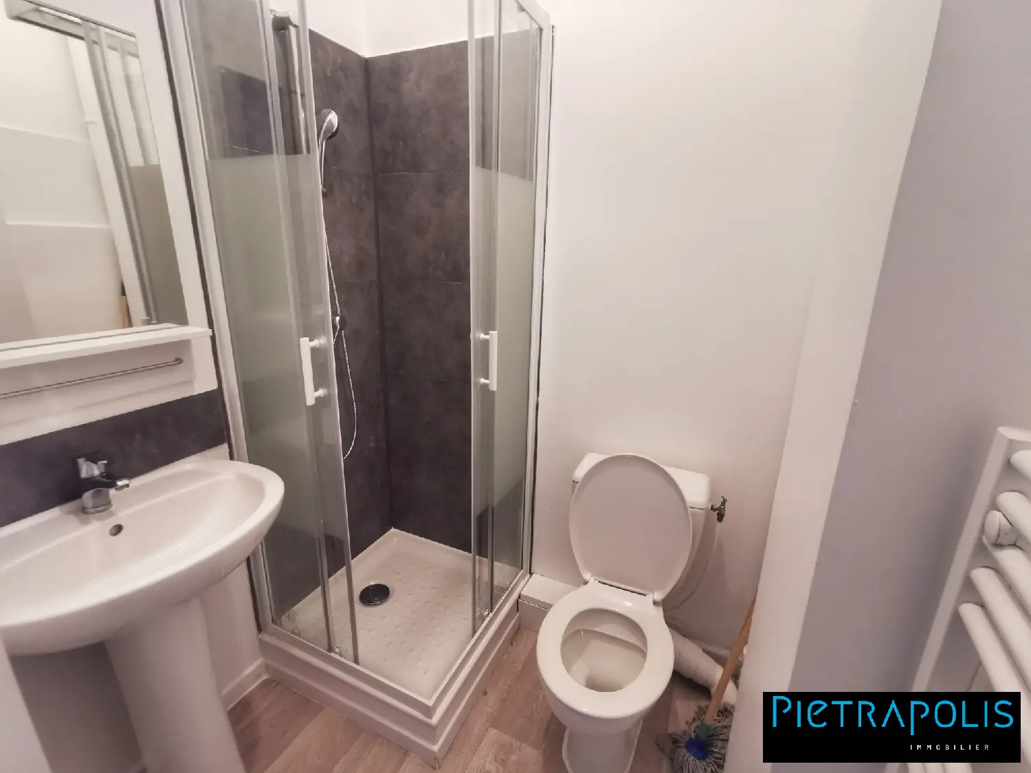  à vendre appartement Terrenoire Loire 7