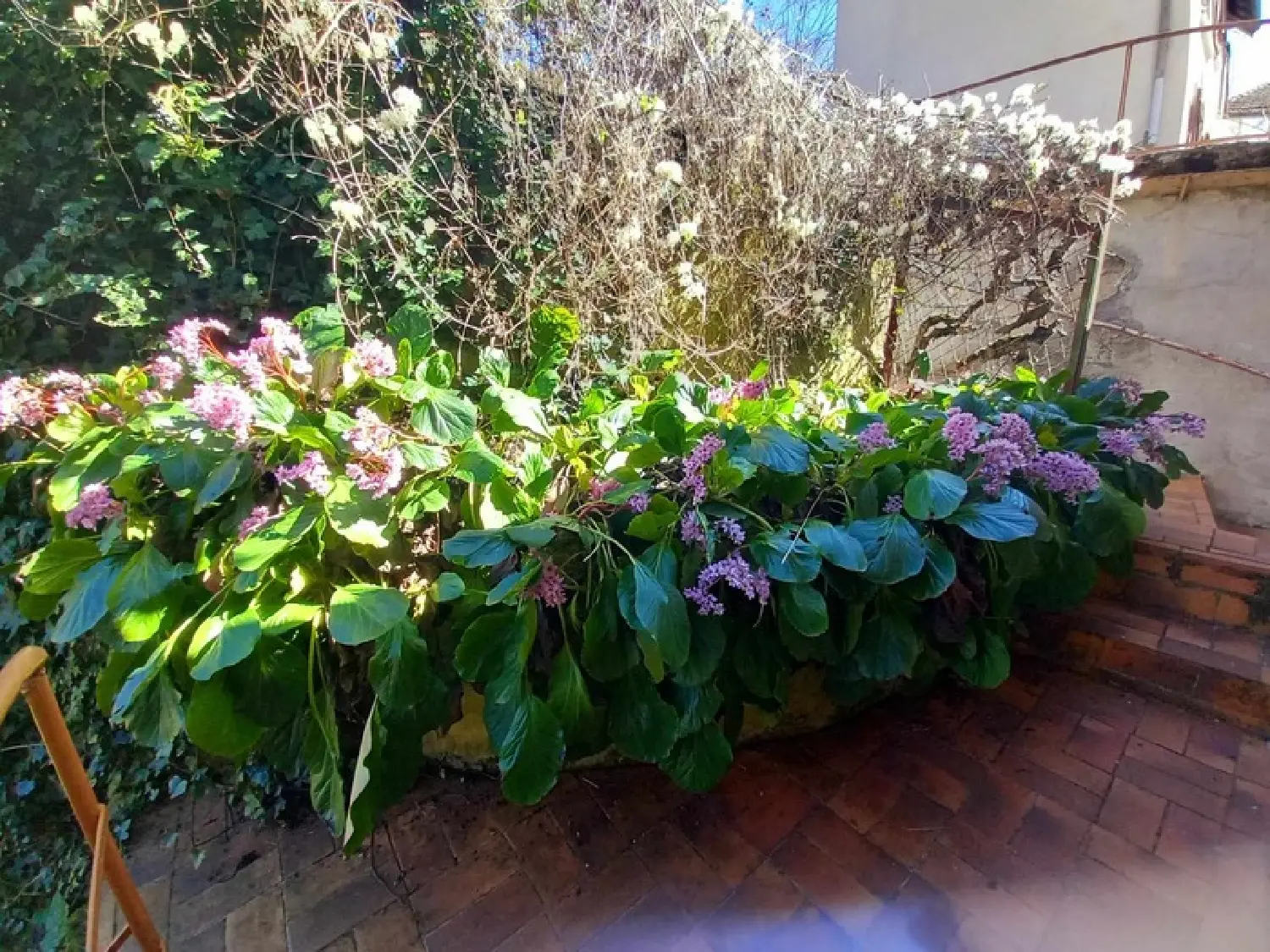  à vendre appartement Thiers Puy-de-Dôme 8