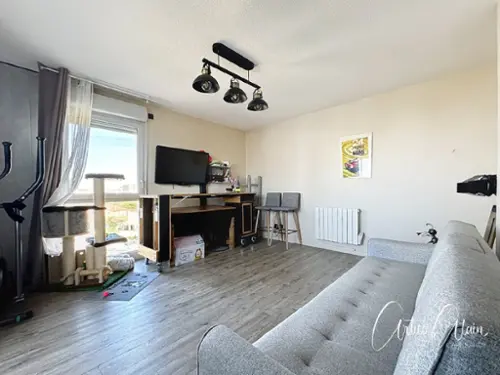 Toulouse Haute-Garonne Wohnung/ Apartment Bild 7091454