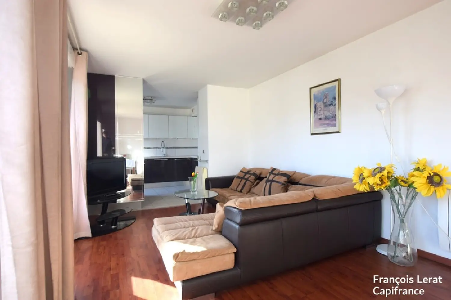  te koop appartement Vitry-sur-Seine Val-de-Marne 2