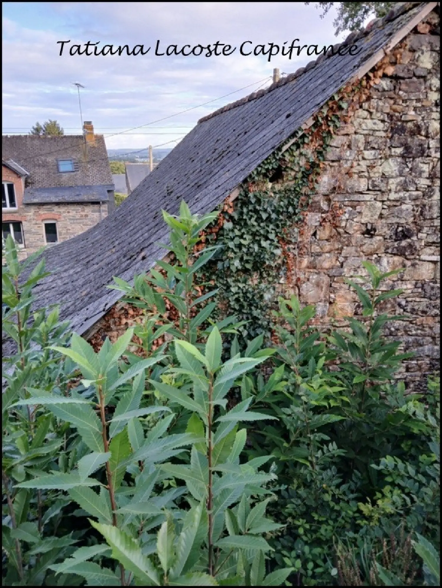  te koop schuur Messac Ille-et-Vilaine 6