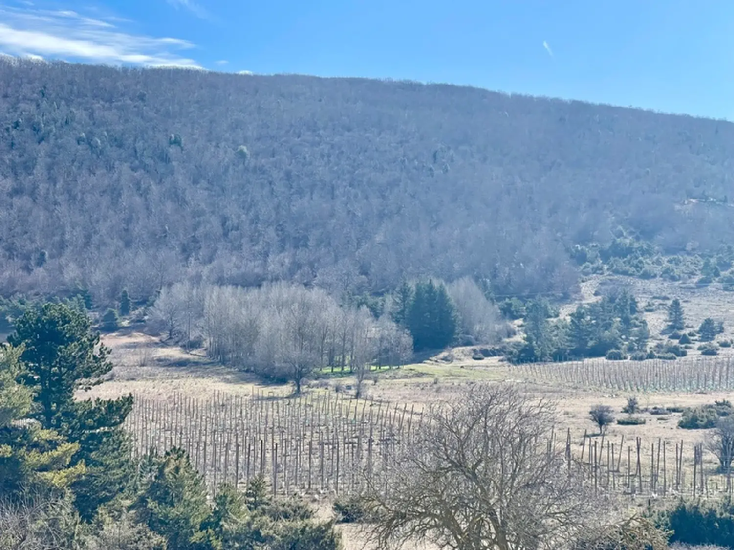  à vendre château Lagarde-d'Apt Vaucluse 4