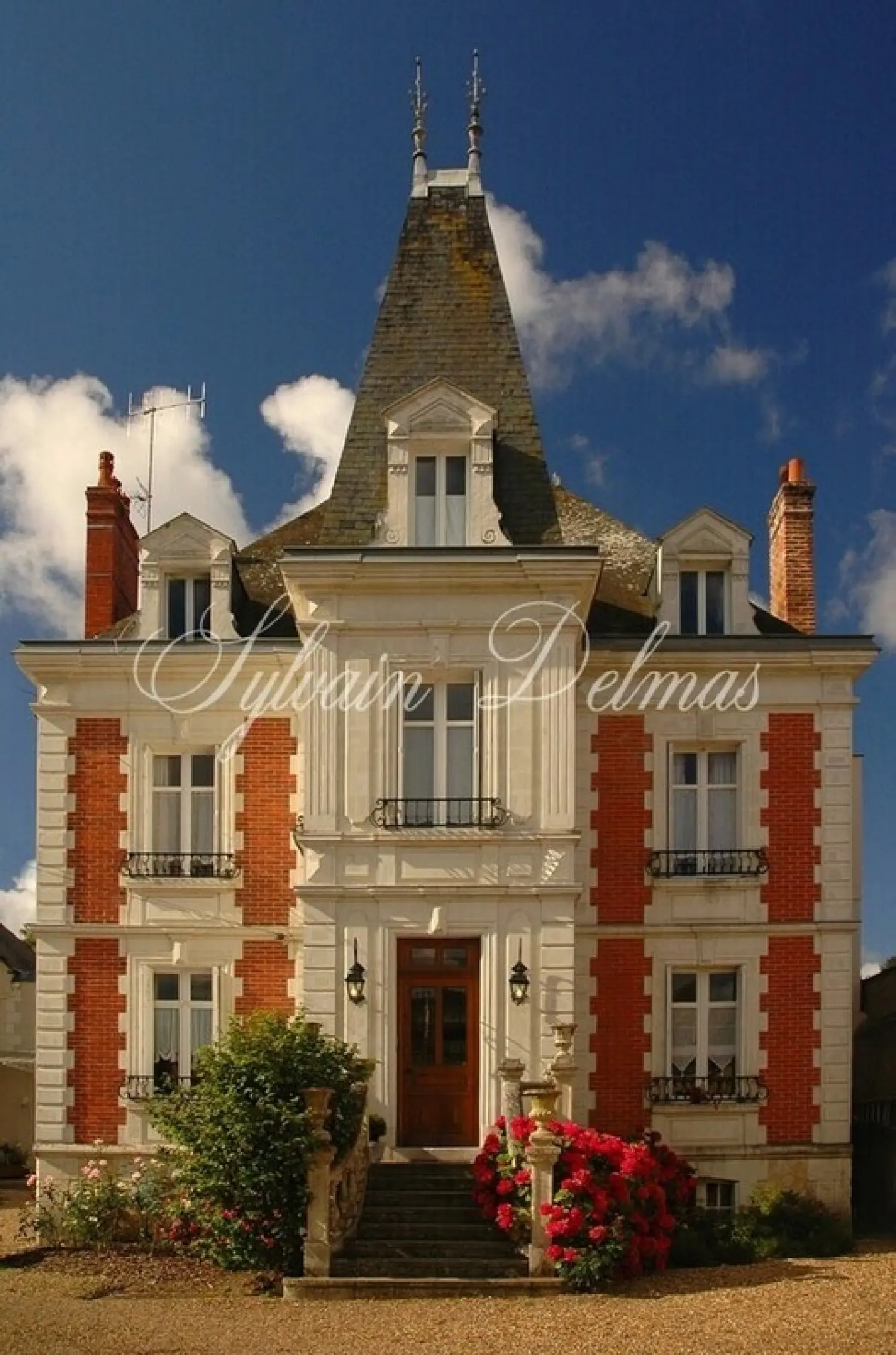  à vendre château Lussault-sur-Loire Indre-et-Loire 8