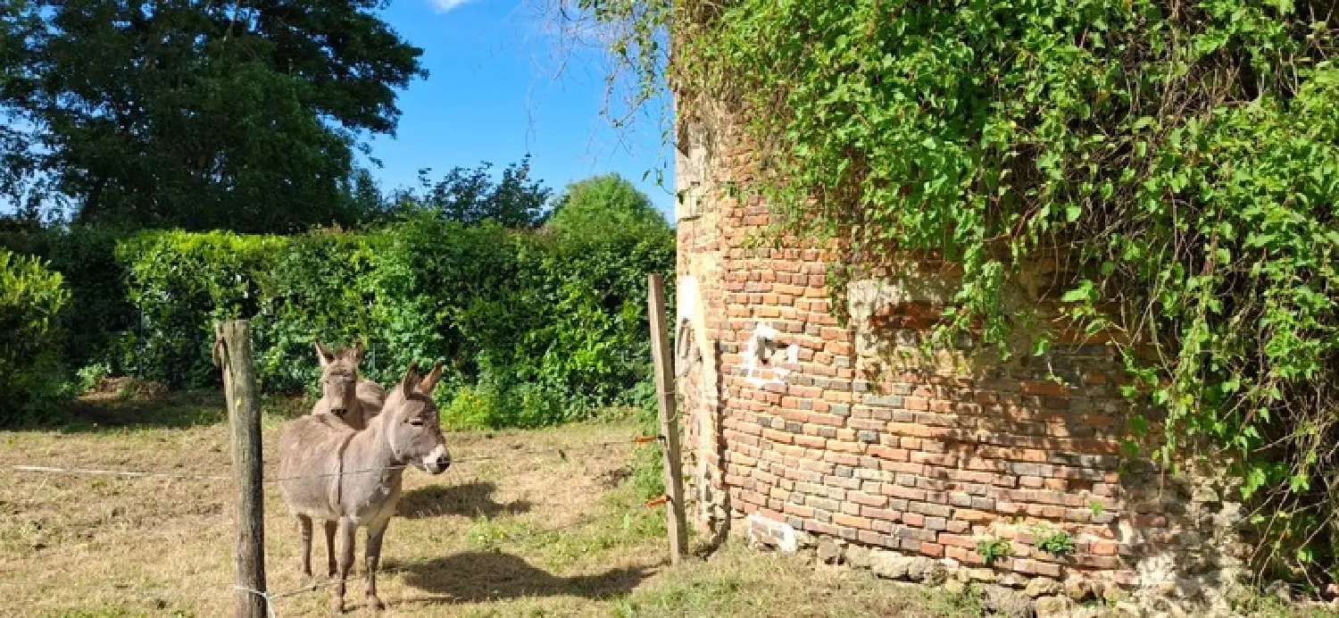  en venta castillo Morée Loir-et-Cher 8