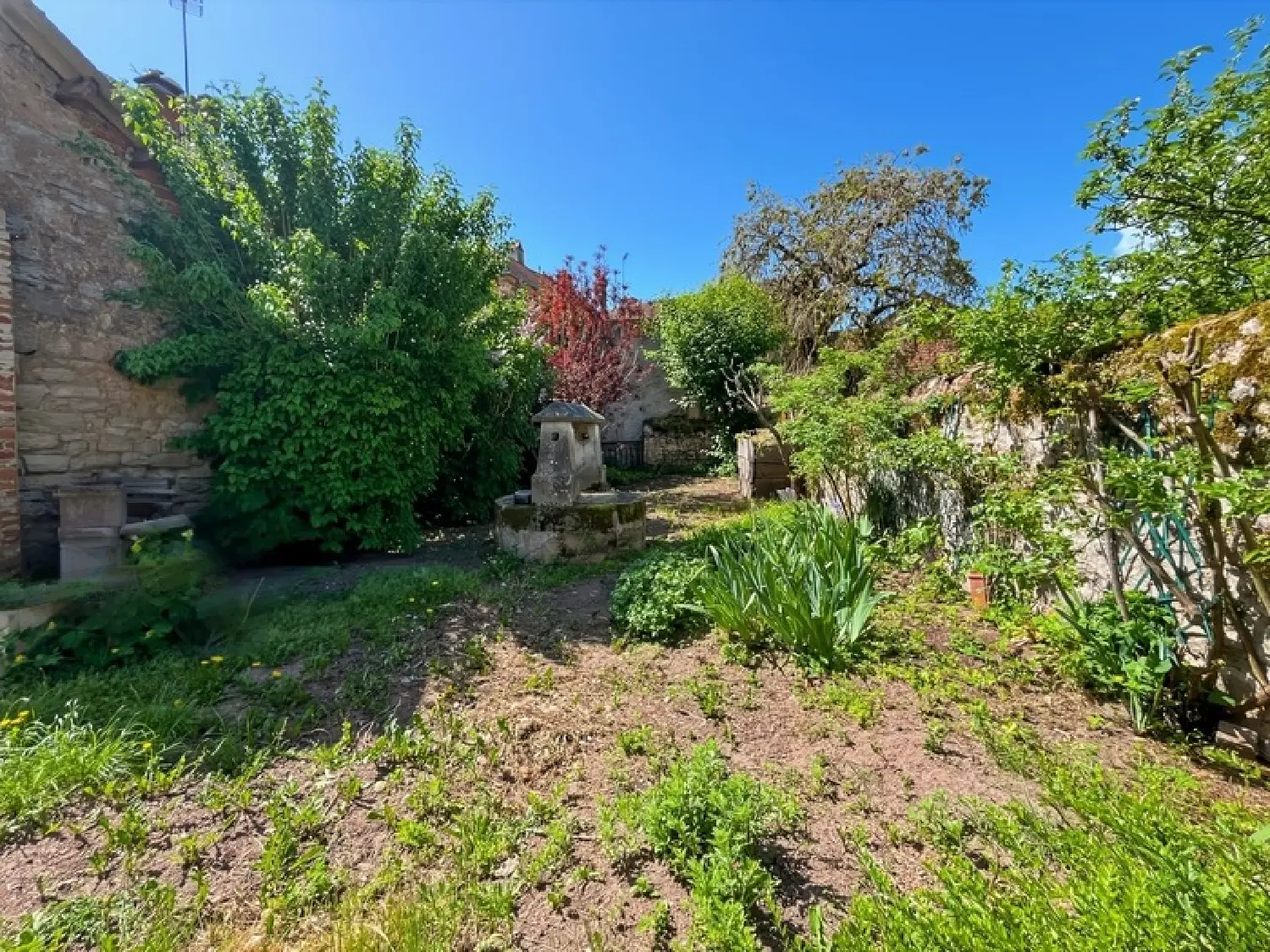  for sale city house Charolles Saône-et-Loire 1