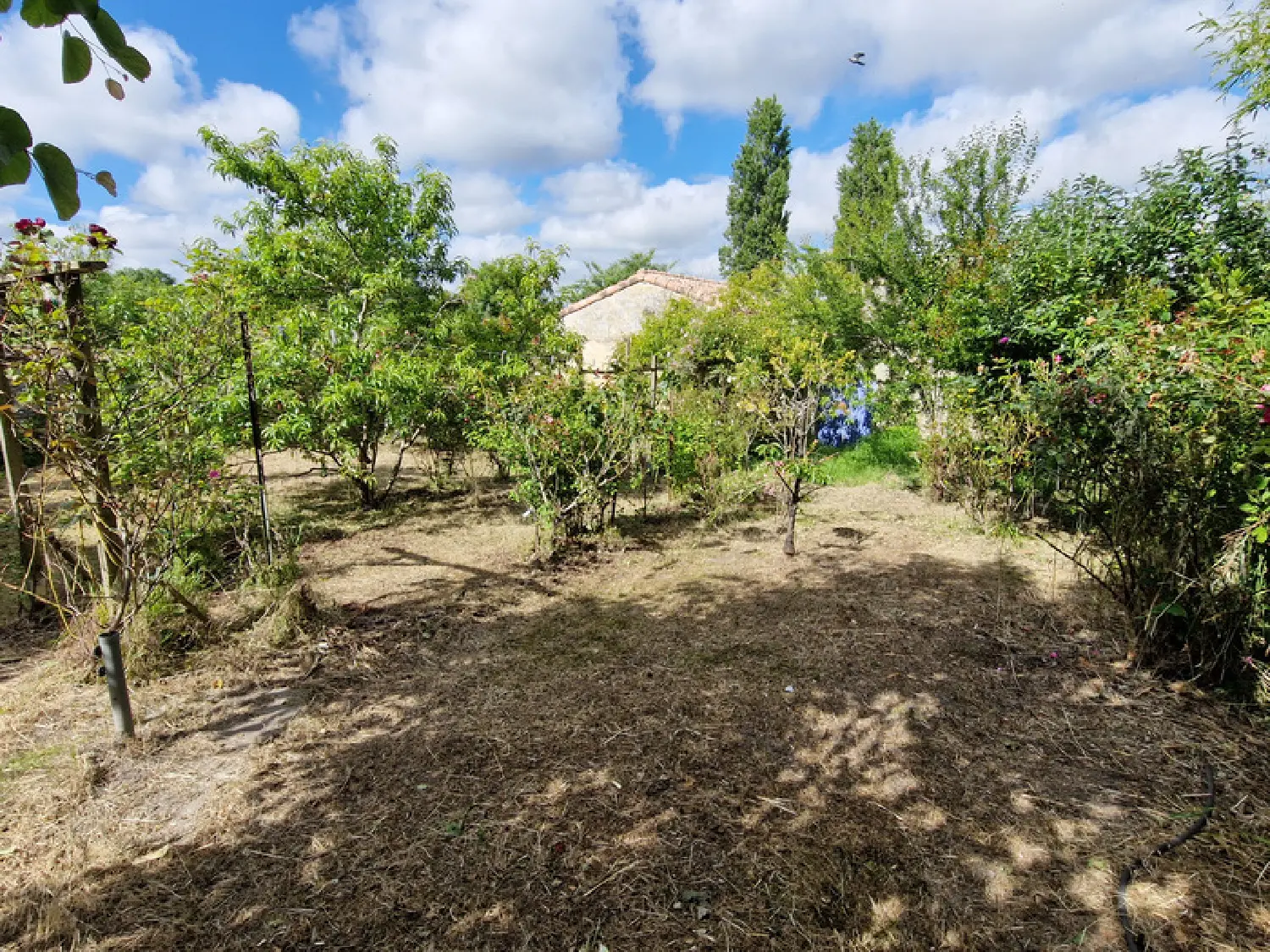  à vendre maison de ville Tonnay-Boutonne Charente-Maritime 5